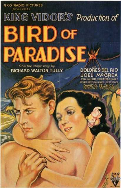 Titelbild zum Film Bird of Paradise, Archiv KinoTV