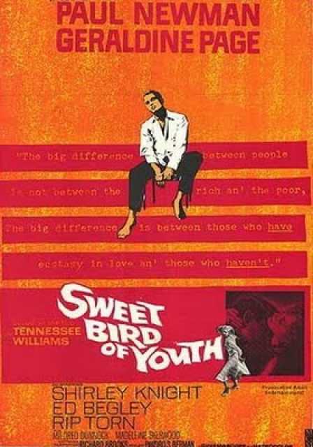 Titelbild zum Film Sweet Bird of Youth, Archiv KinoTV