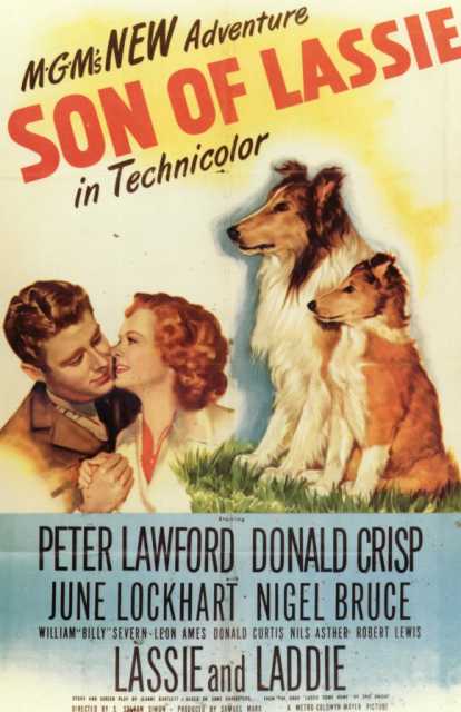 Titelbild zum Film Son of Lassie, Archiv KinoTV