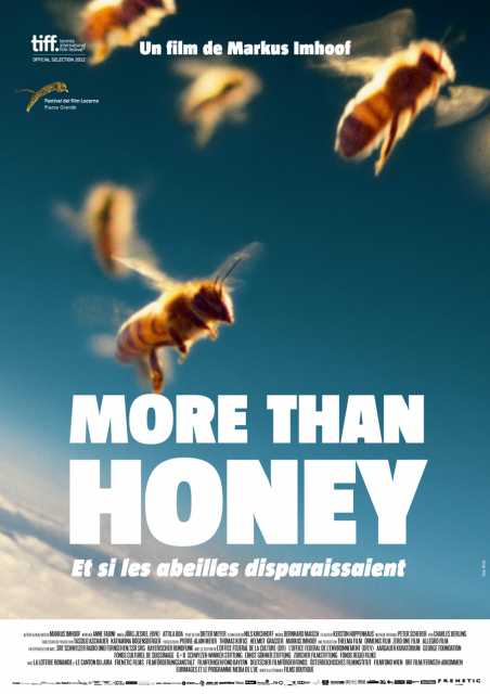 Titelbild zum Film More Than Honey, Archiv KinoTV