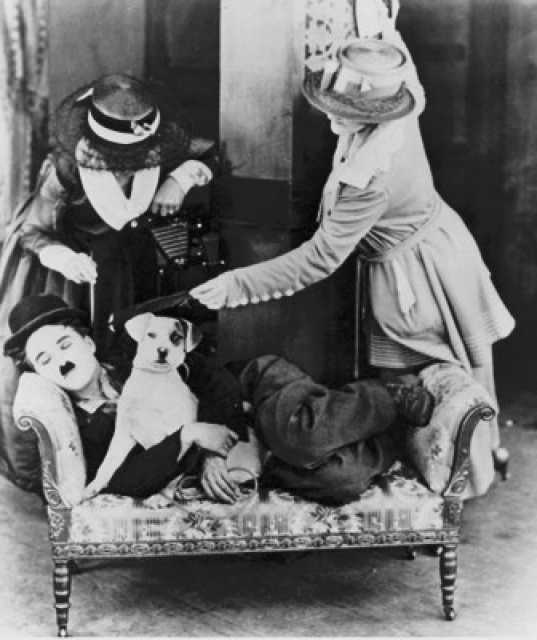 Szenenfoto aus dem Film 'A dog's life' © First National Pictures Inc., First National Pictures Inc., 