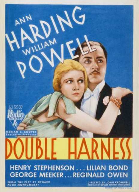 Poster_Double Harness