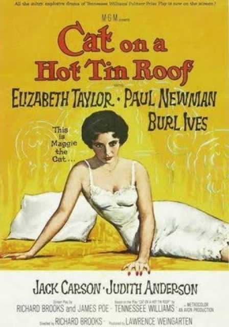 Poster_Cat on a hot tin roof